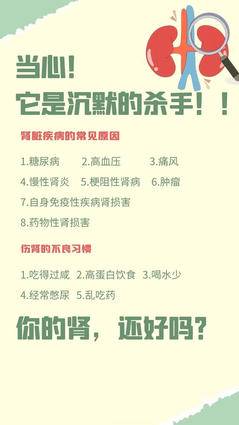 广州中医药大学金沙洲医院马晓东医生：总有人问 “好好的怎么就得了肾癌”？肾癌病因分析！